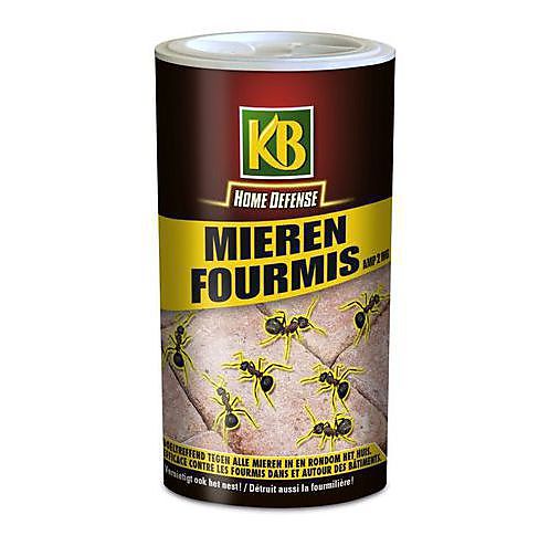  KB Home Piège à Fourmis