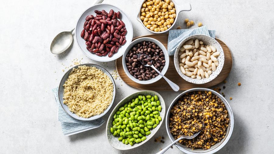 ARDO PRÉSENTE SA NOUVELLE GAMME DE LÉGUMINEUSES