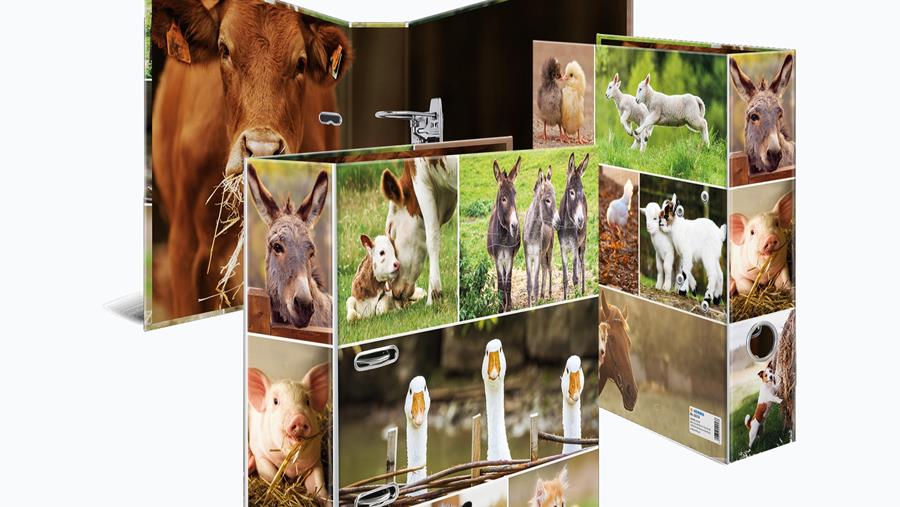 HERMA : Extensions de motifs férocement adorables !