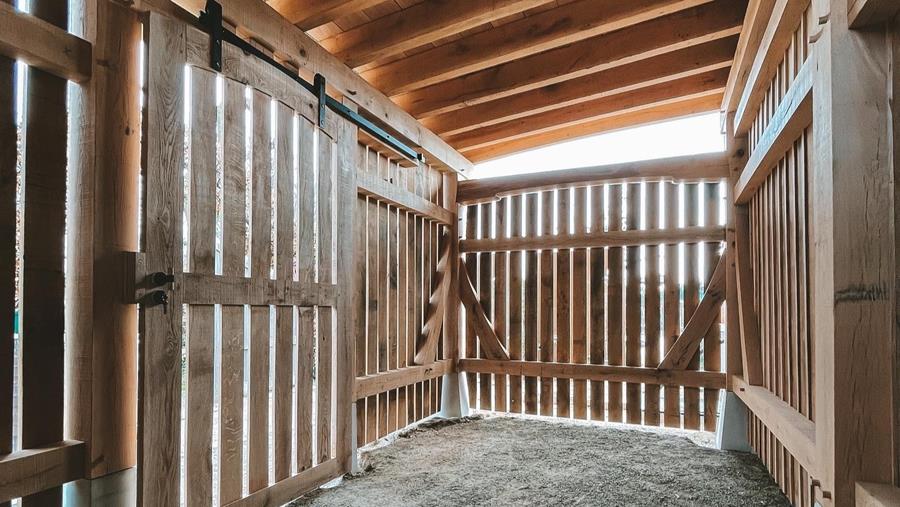 Jordy Pattar réalise un abri à vélos en chêne avec toit en appentis