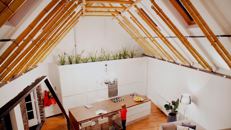 Le bambou comme alternative aux structures en bois