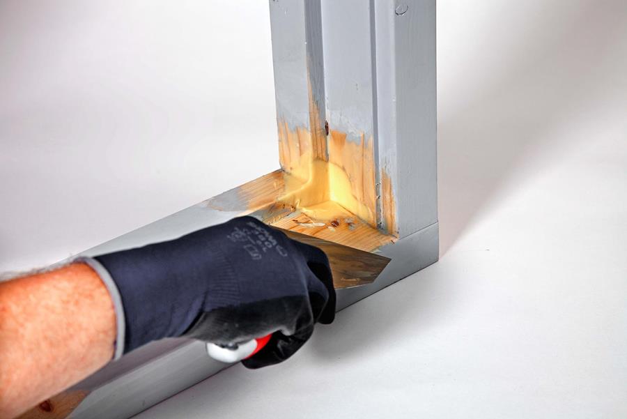 Réparation en cas de moisissures