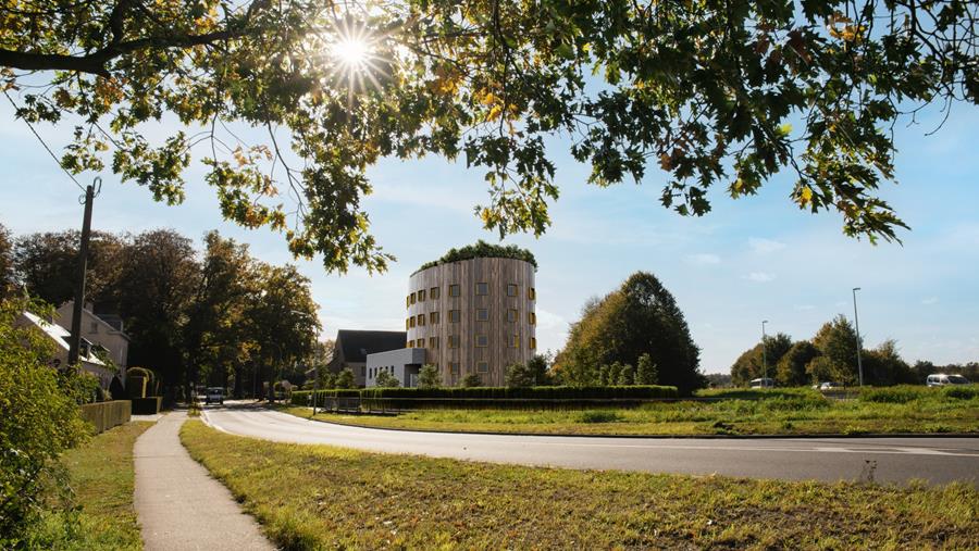 Il Cielo: un arbre parmi les arbres
