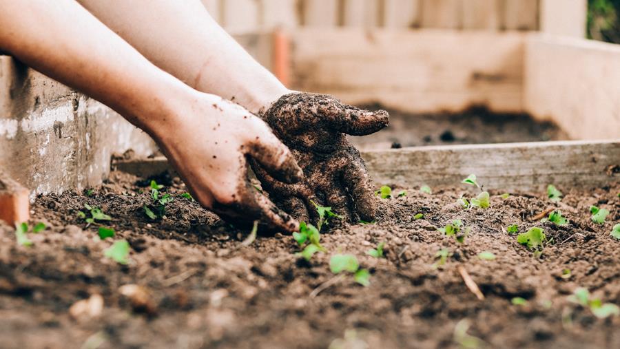 Un jardinage durable avec le terreau sans tourbe Substral