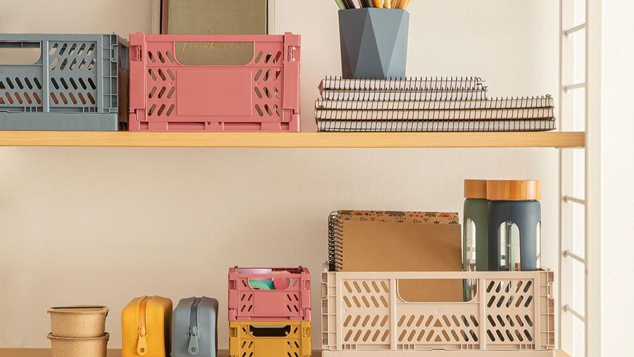 BACK2FUN ET UP NORTH BY APLI: UN DESIGN SOIGNÉ