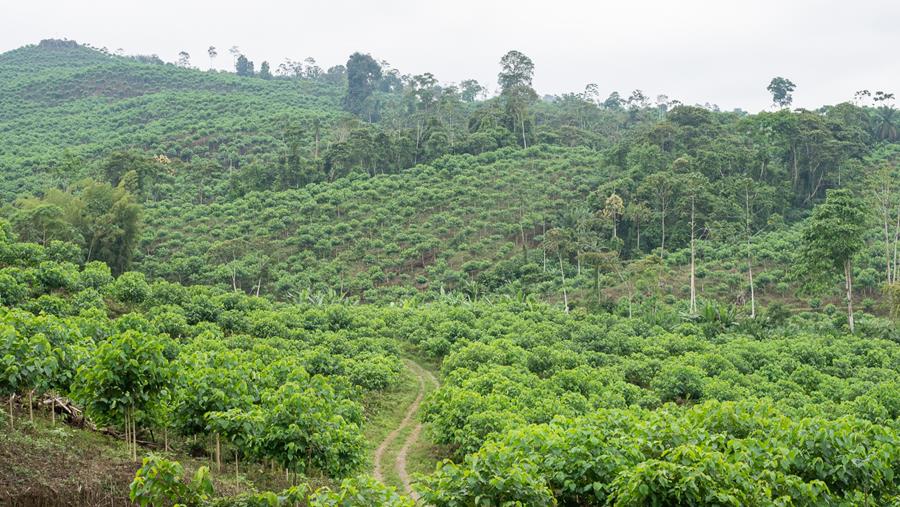 STAEDTLER devient membre du Pacte Mondial des Nations Unies
