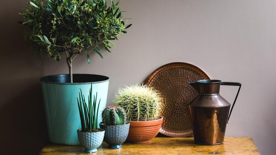 Quand la peinture naturelle est-elle un choix judicieux?