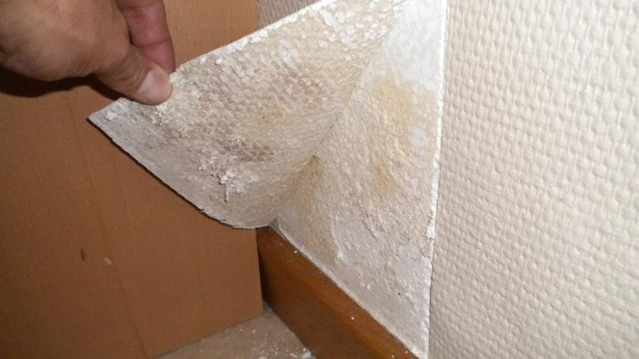 Comment parachever les murs affectés par l'humidité?