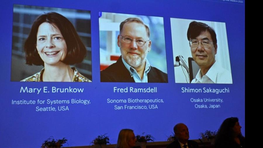 Nobel de médecine: un trio au chevet du système immunitaire