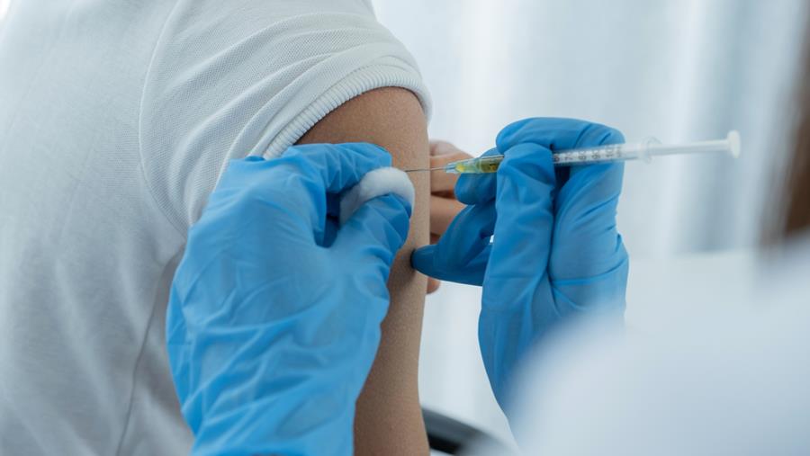 Vaccinopolis achève sa première étude de quarantaine