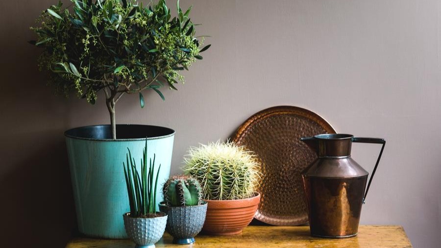 Quand la peinture naturelle est-elle un choix judicieux?